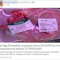 Da oggi è possibile acquistare carne di GATTO in tutti i supermercati italiani. È ufficiale si tratta di una BUFALA felina!