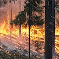 Emergenza incendi: numeri e dati di Legambiente