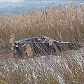 Ferrari 812 GTS finisce nel lago di Garda: la foto è virale