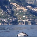 Immagini inedite dalla Costa d'Amalfi /Video