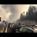 Incendio alle porte di Roma, autostrade bloccate / foto /video