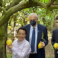 La Food and Agriculture Organization (FAO) in Costa d’Amalfi con il direttore generale Qu Dongyu e il vice Maurizio Martina /FOTO