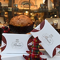 Panettone Pansa, tutto il gusto del Natale in Costiera Amalfitana