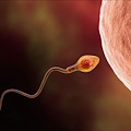 Problemi di ferilità, diminuiscono gli spermatozoi negli uomini occidentali