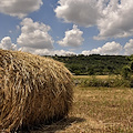 Siccità in Puglia: preoccupante calo delle riserve idriche