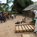 Torna lo spettro del virus Ebola in Congo: 3 morti, scatta l'allarme epidemia