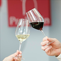 Villa Matilde presenta a Prowein l'intera gamma di vini e una novità: Il Falerno in Arte.