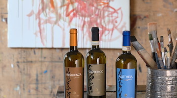 Da etichette a opere d'arte: le nuove linee della cantina irpina Donnachiara uniscono design, femminilità e cultura del vino