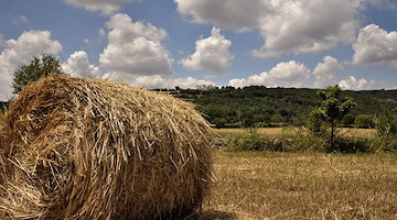 Siccità in Puglia: preoccupante calo delle riserve idriche