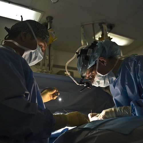 Medici Chirurghi<br />&copy; Foto di 12019 da Pixabay
